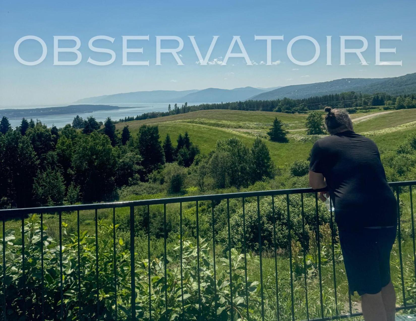 Auberge De Nos Aieux Les Éboulements Exteriör bild